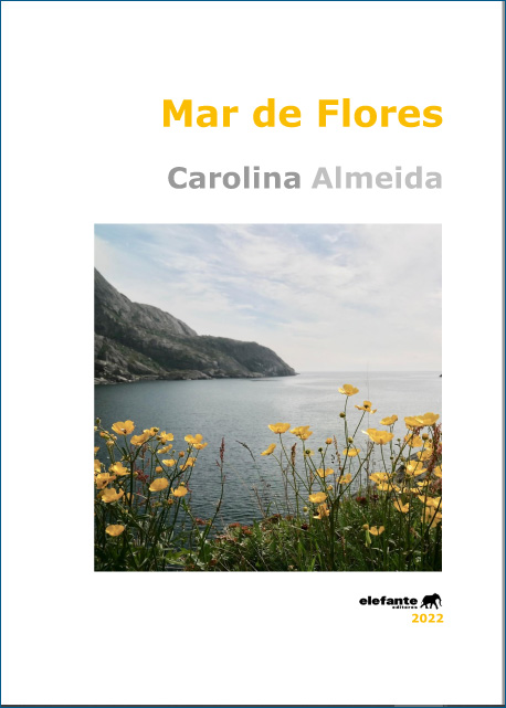 carolina-almeida-mardeflore