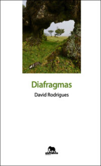 Diafragmas de David Rodrigues