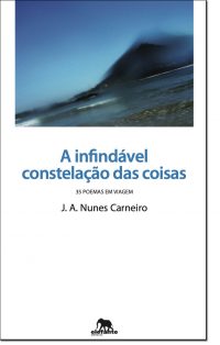 A Infindável constelação das coisas