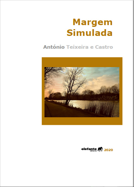 Margem Simulada de António Castro